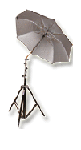 umbrella